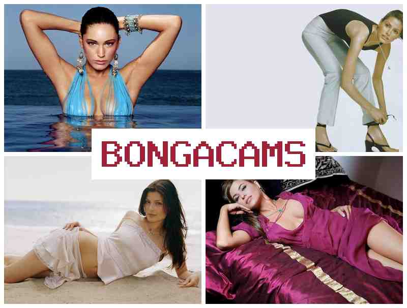Boga Cams 📺 Смотрите в прямом эфире знойных женщин, которые устраивают эротические секс-шоу перед вебкой