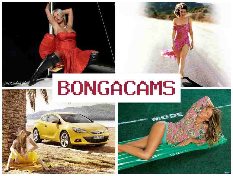 Bona Cams 🆕 Смотрите как соблазнительные красотки занимаются сексом на вебкамеру 