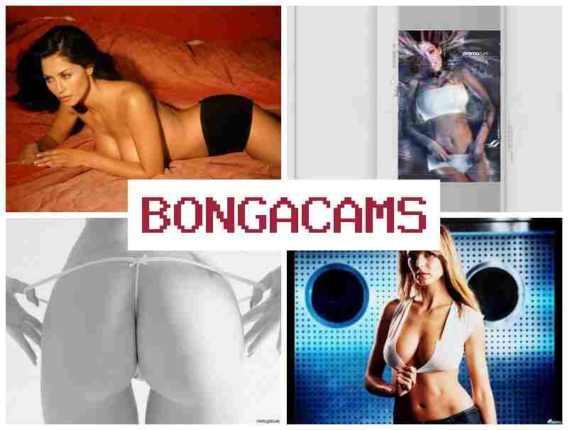 Bonga Cms 💗 Сексуальные девушки показывают порно шоу перед вебкой в прямом эфире