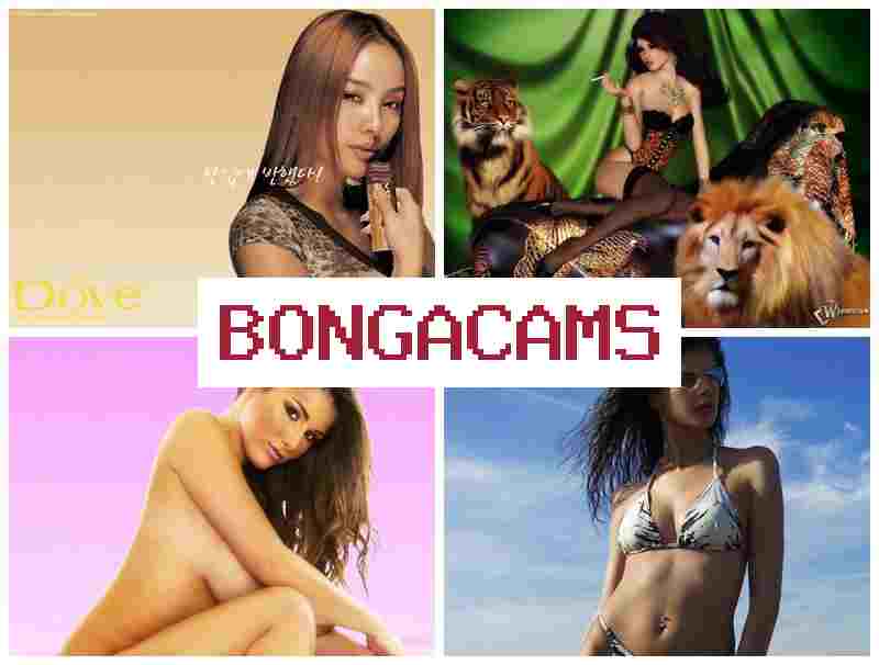 Bongaa Cams 📹 Обнаженные вебмодели показывают эротические секс-шоу перед вебкой в прямом эфире