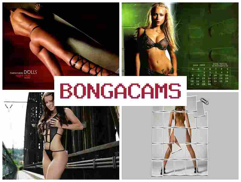 Bonga Ccams 🔺 Вебкам секс онлайн! Умопомрачительные женщины ласкают свои дырочки на вебкамеру в прямом эфире
