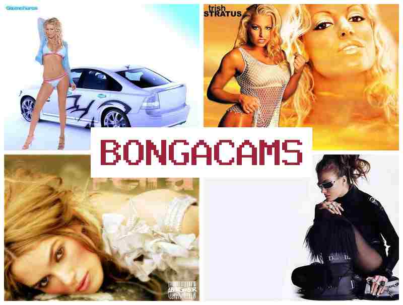 Bonga Caams ✔️ Смотрите как знойные вебкам-модели показывают развратные шоу на вебку 