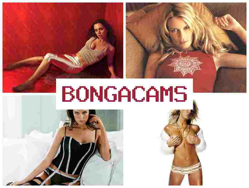 Obnga Cams 👠 Вебки для взрослых, где развратные красавицы дрочат в прямом эфире
