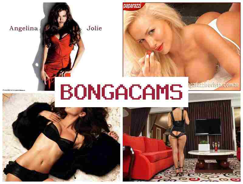 Bnoga Cams 💟 Смотрите как сексуальные семейные пары устраивают развратные секс-шоу перед вебкой 