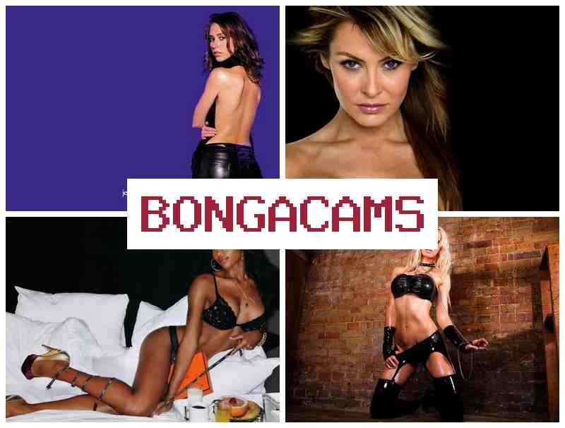 Bong Acams 🆗 Смотрите как умопомрачительные женщины теребят свои влагалища на вебку в прямом эфире