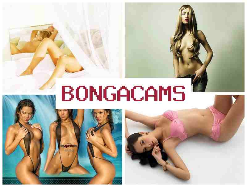 Bongac Ams ✔️ Вебкамеры онлайн, где распутные женщины показывают развратные секс-шоу в прямом эфире