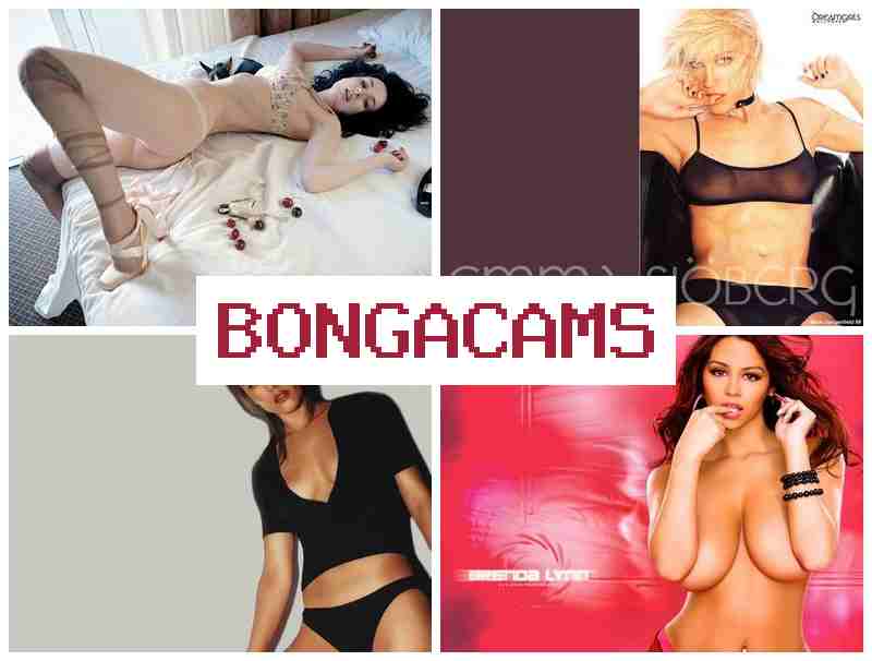 Nonga Cams 🌟 Вебкам секс 18+! Сексуальные девушки ублажают свои дырочки  в прямом эфире