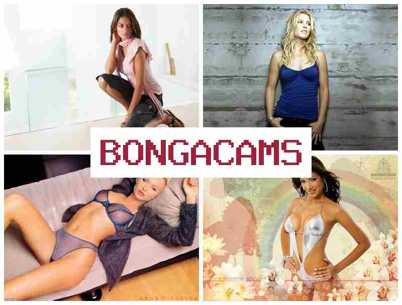 Binga Cams ▓ Смотрите в прямом эфире соблазнительных красоток, которые нежно ебутся перед вебкой