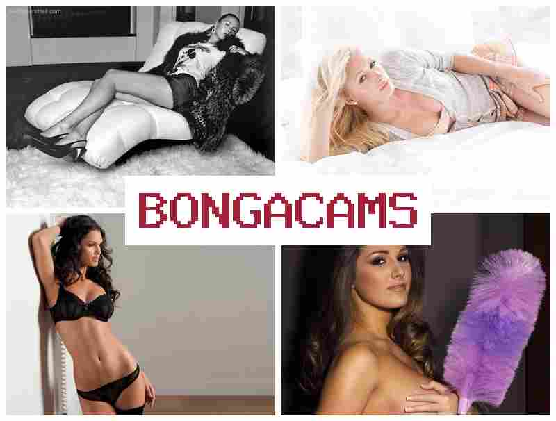 B0Nga Cams 🔵 Обнаженные девушки с упоением ласкают свои влагалища на вебку в прямом эфире
