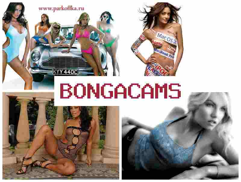 Blnga Cams ⭕ Смотрите как знойные семейные пары показывают эротические секс-шоу  онлайн