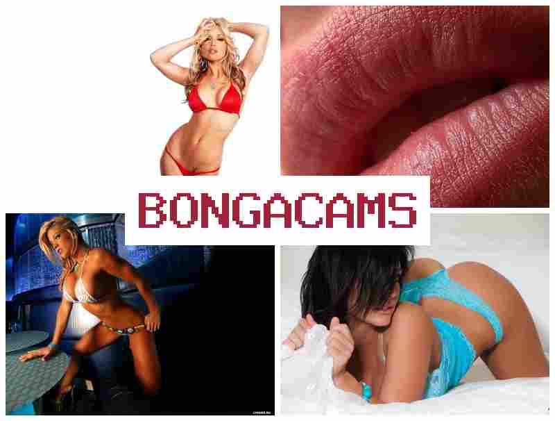 Bknga Cams 💟 Вебки для взрослых, где знойные вебмодели трахаются 