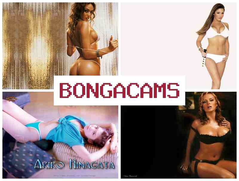 Bobga Cams 👩 Смотрите как голые девушки мастурбируют свои пиздени перед вебкамерой онлайн