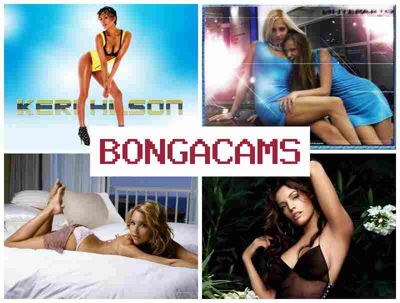Bonga Caks 🆕 Знойные женщины нежно занимаются сексом  онлайн