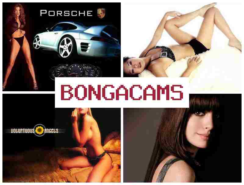 Bonga Cama 🆒 Смотрите как развратные вебкам-модели ебутся на вебку 