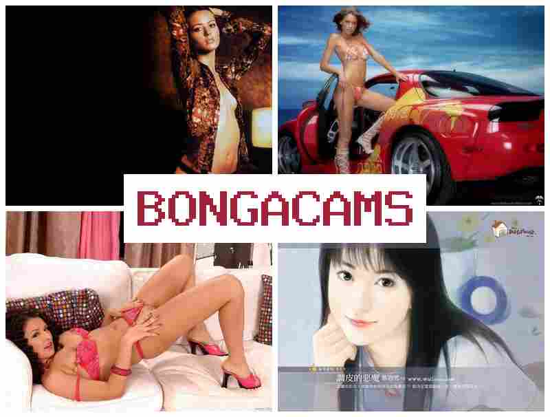 Bonga Camz ᐉ Видеочат, где соблазнительные девушки показывают развратные секс-шоу 