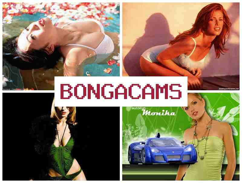 Bonga Cams 🆕 Обнаженные вебмодели с упоением ласкают себя  