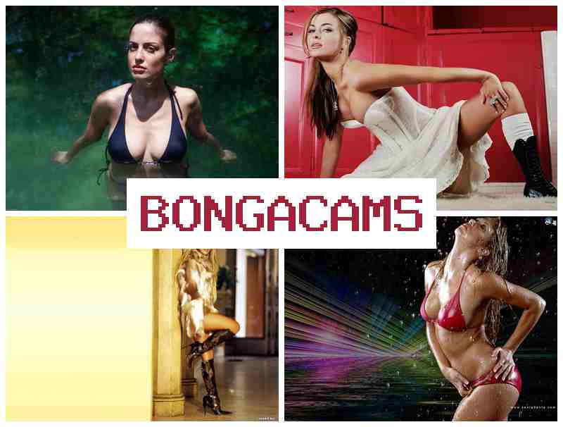 Bongocams 💕 Смотрите онлайн сексуальных красавиц, которые нежно мастурбируют свои пиздени 