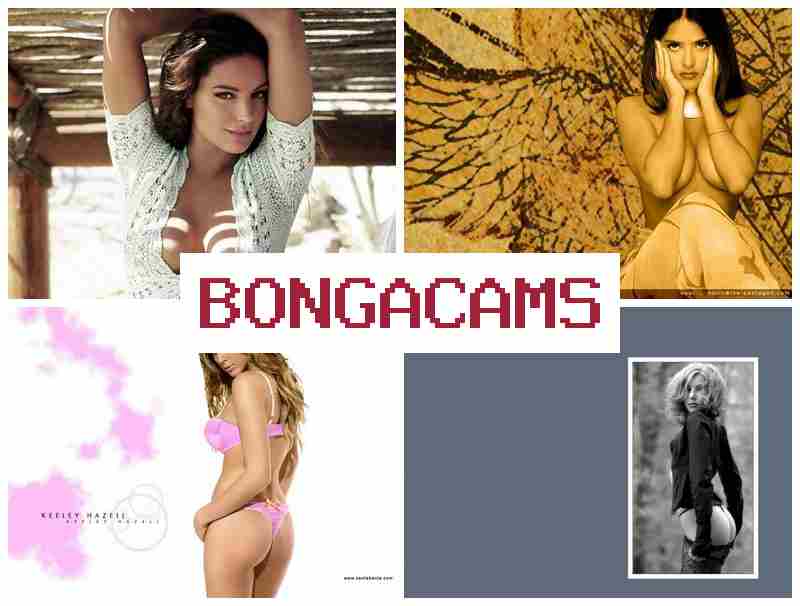 Bongo Cams 🆗 Соблазнительные красавицы с упоением трахаются на вебкамеру онлайн
