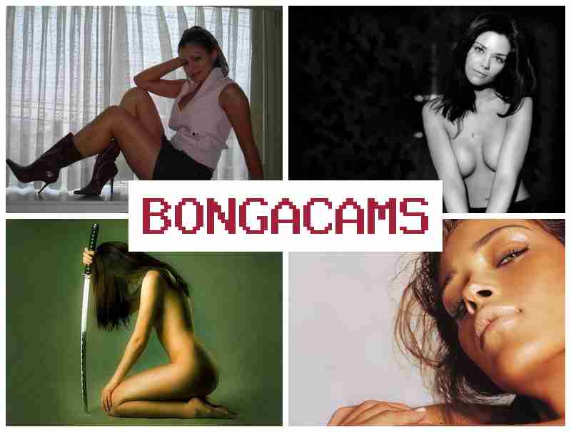 Bongs Cam 💻 Видеочат, где соблазнительные семейные пары показывают безумные секс-шоу в прямом эфире